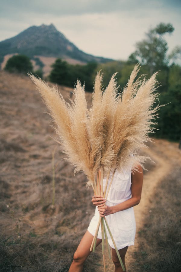 Boho